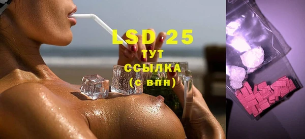 шишки Верхний Тагил