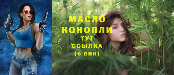 шишки Верхний Тагил