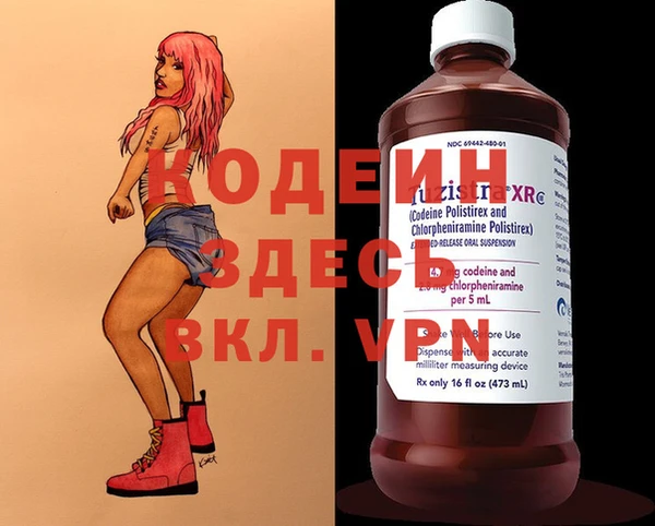шишки Верхний Тагил