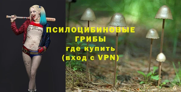 шишки Верхний Тагил