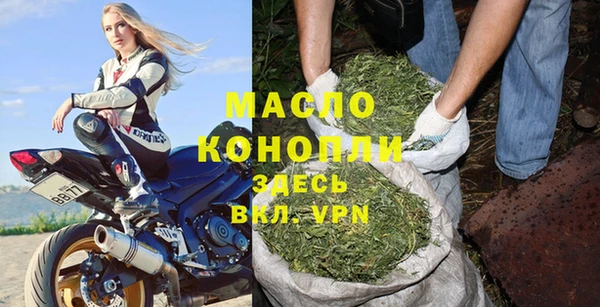 шишки Верхний Тагил
