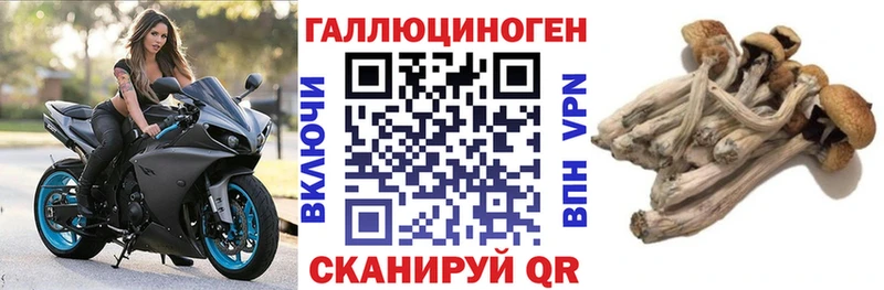 Галлюциногенные грибы GOLDEN TEACHER купить Лукоянов